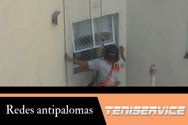 Redes antipalomas: La barrera definitiva para proteger su infraestructura